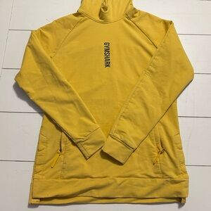 Gymshark Raid Hoodie